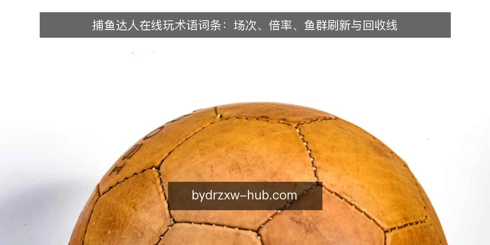 捕鱼达人在线玩术语词条：场次、倍率、鱼群刷新与回收线 — 识别信号：术语定义与典型场景 配图