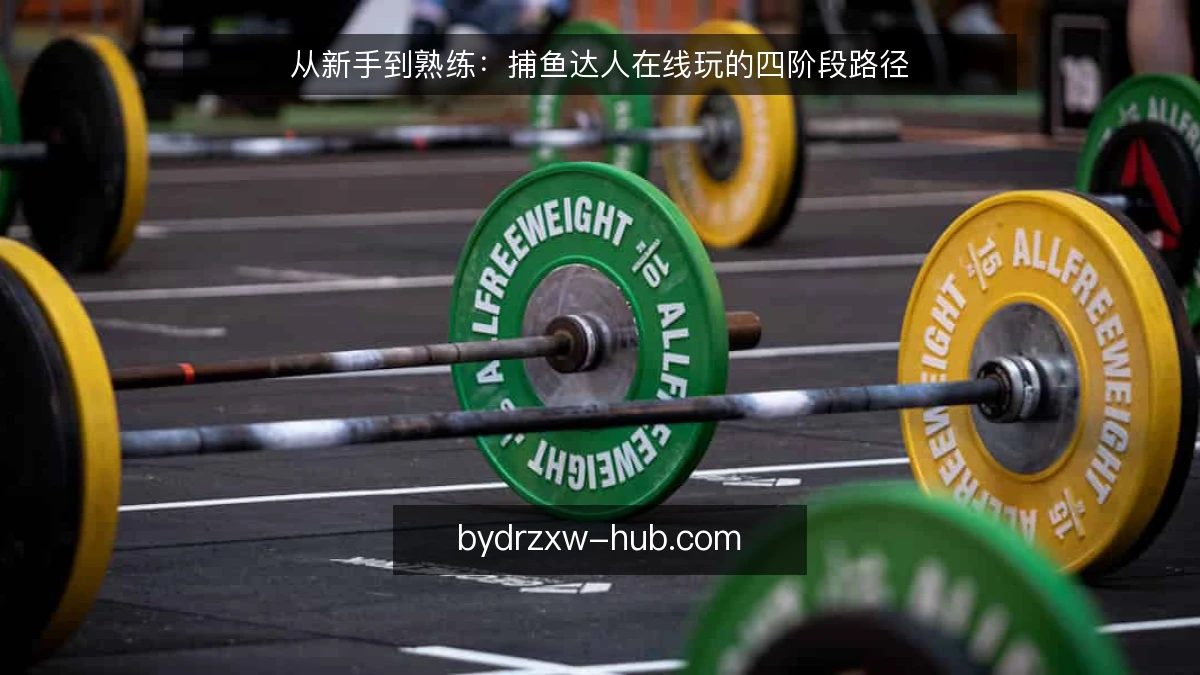 从新手到熟练：捕鱼达人在线玩的四阶段路径